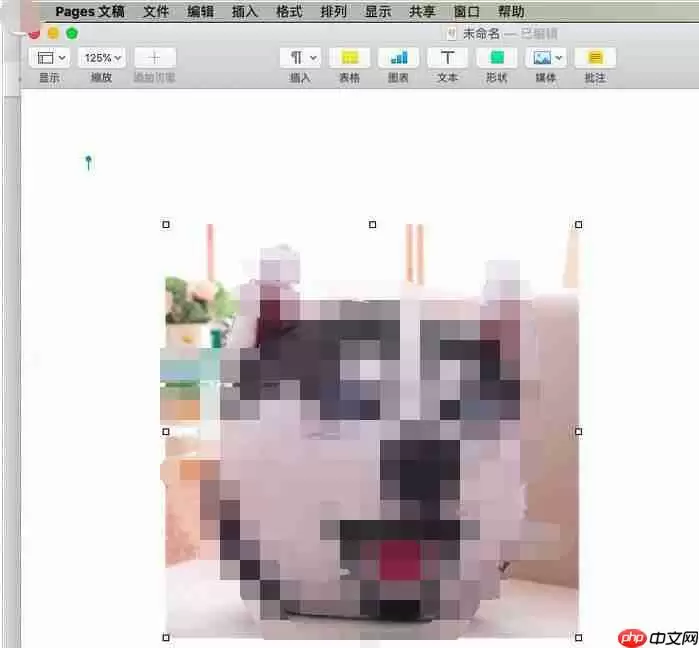 pages文章怎么插入引文 文章插入引文方式一栏