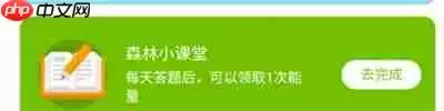 森林驿站8月11日答案分享