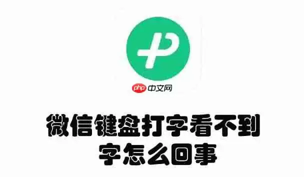 微信键盘打字看不到字怎么回事