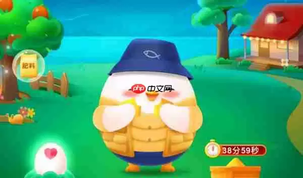 O型血真的是万能血吗