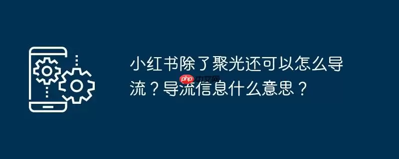 小红书除了聚光还可以怎么导流？导流信息什么意思？