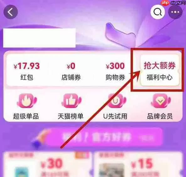 淘宝双11大额券在怎么领