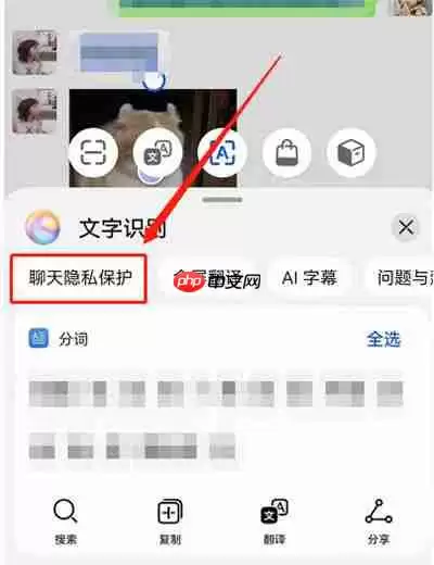 华为聊天隐私保护怎么使用