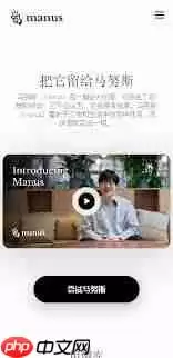 manus软件是什么