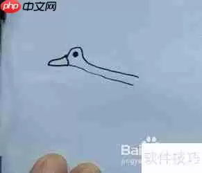 天鹅简笔画教程：学会画天鹅的方法
