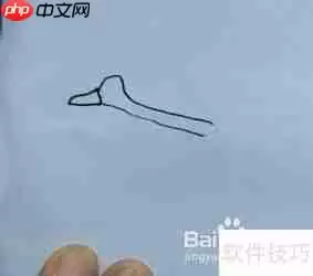 天鹅简笔画教程：学会画天鹅的方法