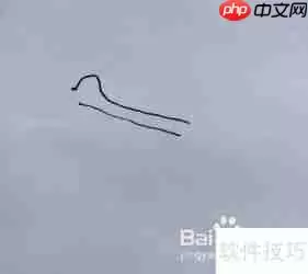 天鹅简笔画教程：学会画天鹅的方法