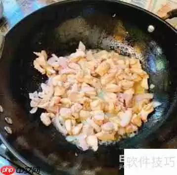 简单易做的超美味咖喱鸡肉饭