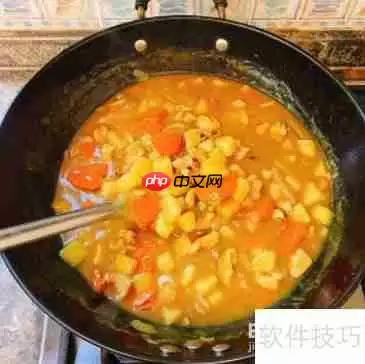 简单易做的超美味咖喱鸡肉饭