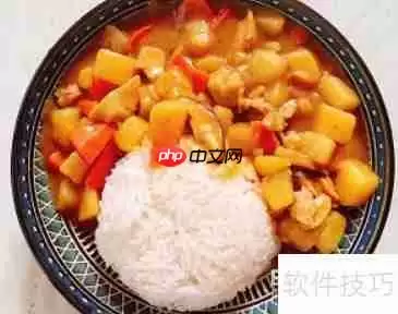 简单易做的超美味咖喱鸡肉饭