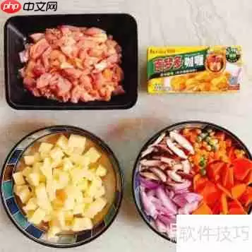 简单易做的超美味咖喱鸡肉饭