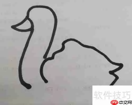 儿童简笔画天鹅的画法步骤图解