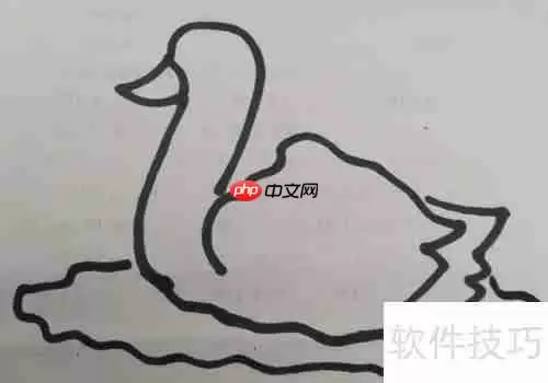 儿童简笔画天鹅的画法步骤图解