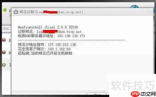 新花生壳2.0搭建医药管理系统