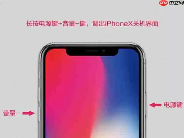 苹果x关机键在哪里_苹果x关机键位置分享