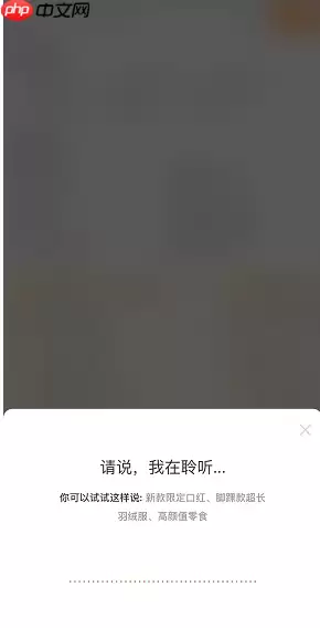 淘宝方言语音搜功能怎么用