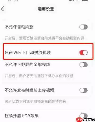 小红书怎么开启wifi下自动播放