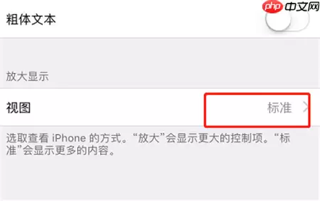 在iPhonexs中怎么调整桌面图标大小？调整桌面图标大小的详细方法分享