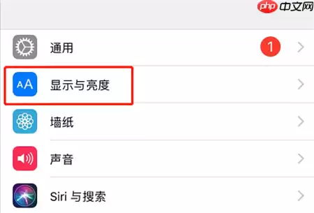 在iPhonexs中怎么调整桌面图标大小？调整桌面图标大小的详细方法分享