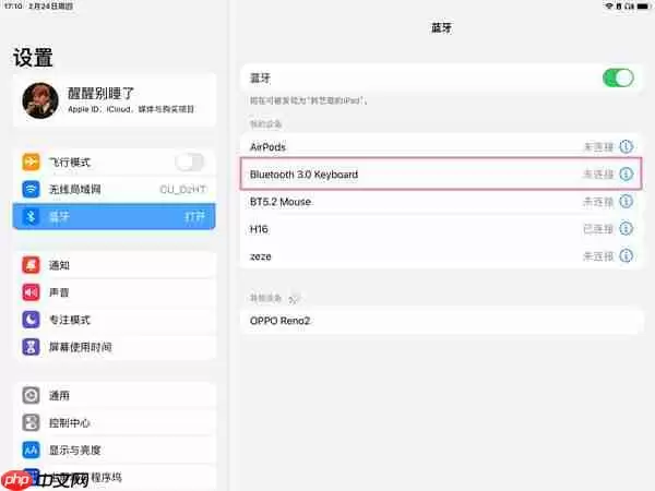 ipad鼠标可以连接使用吗