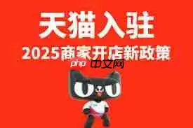 2025年如何入驻天猫