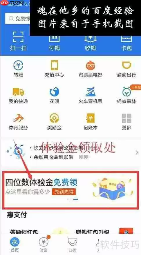 支付宝领取四位数免费体验金的方法