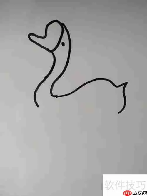 如何画天鹅？简笔画教程教你轻松绘制优雅天鹅