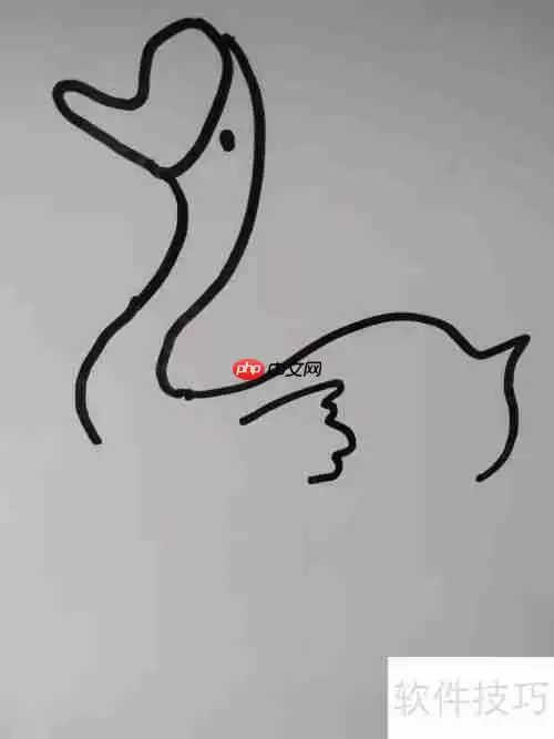如何画天鹅？简笔画教程教你轻松绘制优雅天鹅