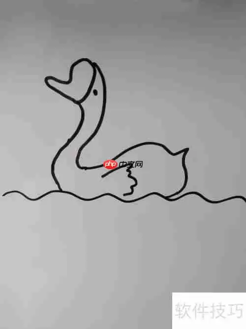 如何画天鹅？简笔画教程教你轻松绘制优雅天鹅