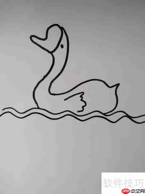 如何画天鹅？简笔画教程教你轻松绘制优雅天鹅
