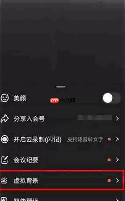 钉钉视频怎么设置虚拟背景