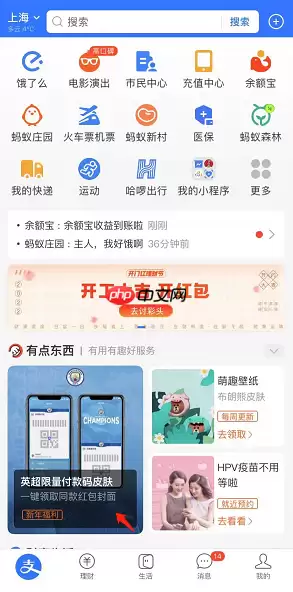 支付宝英超付款码皮肤怎么获得