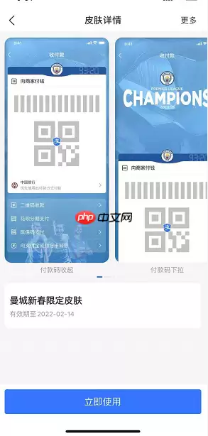 支付宝英超付款码皮肤怎么获得