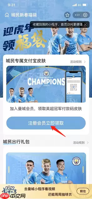 支付宝英超付款码皮肤怎么获得