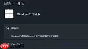 如何激活windows11数字权利