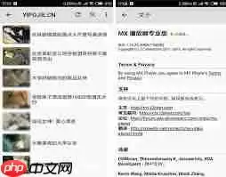 mx播放器如何彻底关闭广告