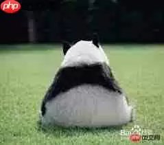 如何畅玩跑跑卡丁车电脑版