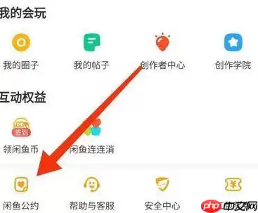 闲鱼公约在哪里看