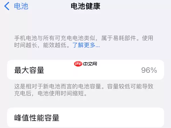 苹果14电池健康程度在哪里看