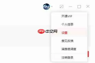有道词典中怎么使用离线翻译功能？离线翻译功能操作方法一览