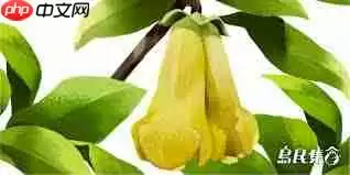 忍冬花的别名有哪些