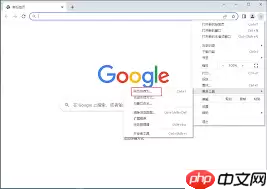Google浏览器怎样收藏网址