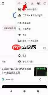 Google浏览器怎样收藏网址