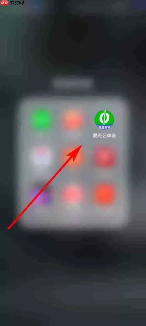 爱奇艺体育会员权益说明怎么看