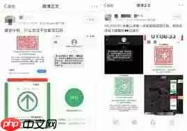 支付宝健康码是什么