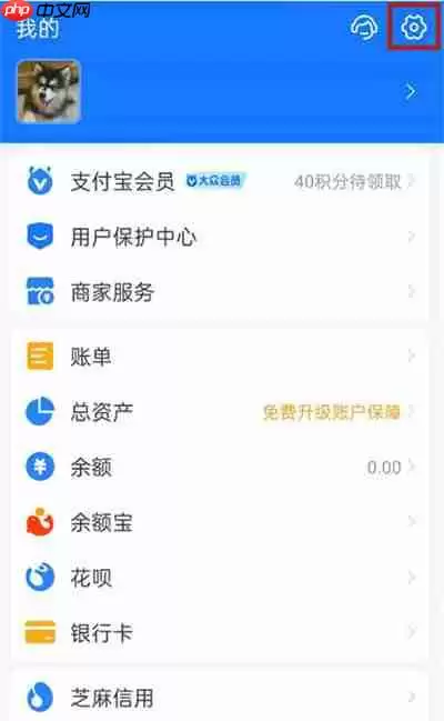 支付宝扣费服务查询方法
