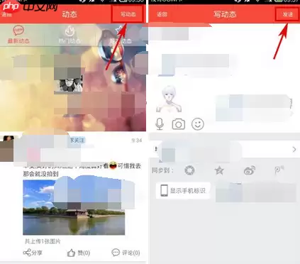 淘友汇APP怎么发布动态？发布动态的流程一览