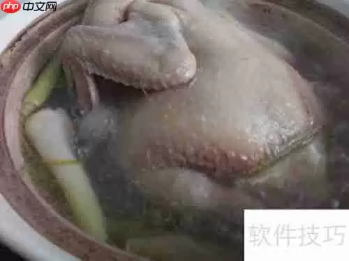 健美食谱:鸡肉面——美味与健康的完美结合