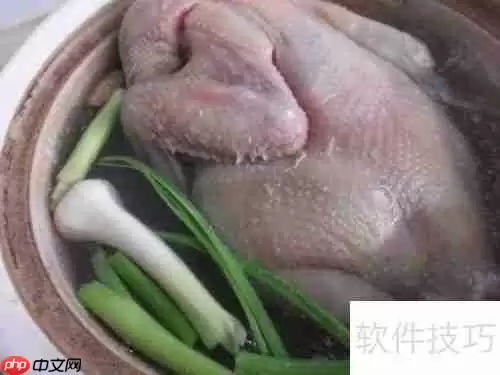 健美食谱:鸡肉面——美味与健康的完美结合