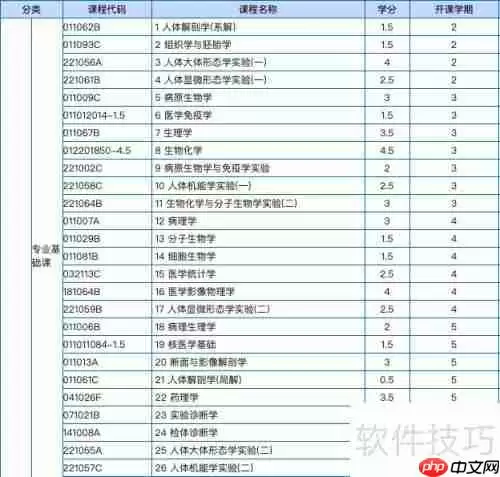 医学影像学的内容与教学重点